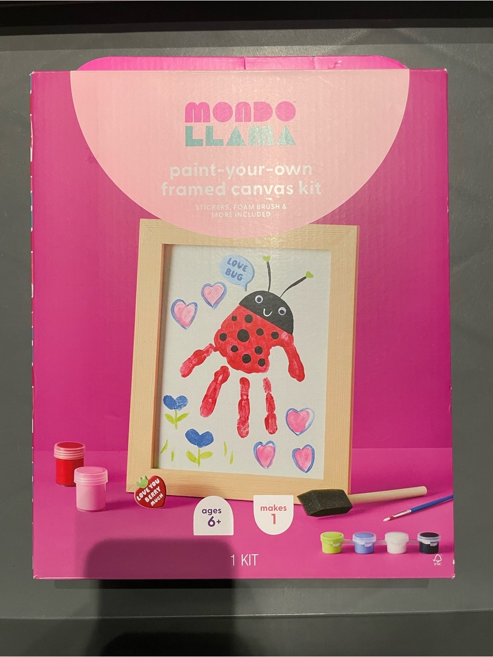 Valentine’s Craft Framed Canvas Painting Activity Kit Mondo Liama 8”x10” New